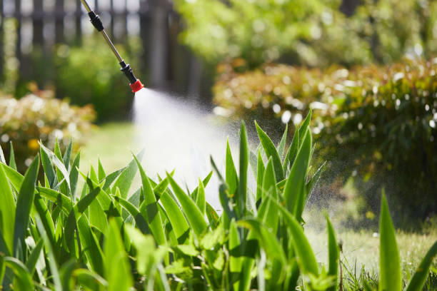 24/7 Emergency Wasp Removal experts in Manito, IL