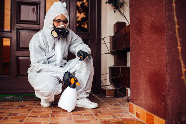 Reliable Wasp Removal contractor in Manito, IL by Show Me Pest Control
